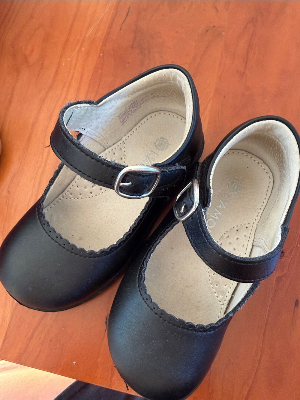 L'Amour Black Mary Jane Dress Shoes with Buckle
